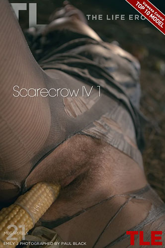 Emily J "Scarecrow IV 1"