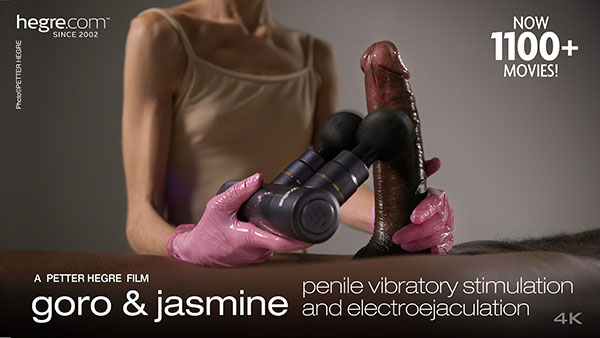 Jasmine & Goro "Penile Vibratory Stimulation and Electroejaculation"